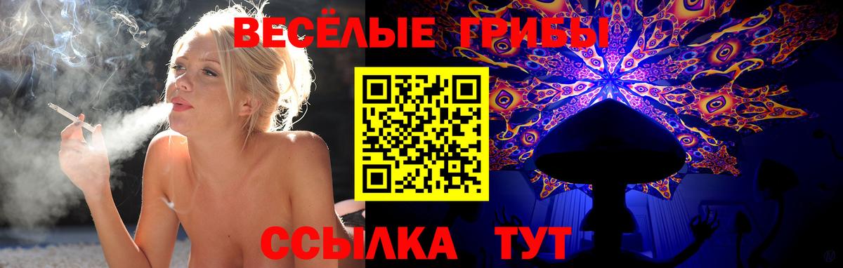Псилоцибиновые грибы MAGIC MUSHROOMS Городец